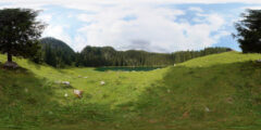Clip 985 - Green Mountain Lake Nestled In Alpine Pasture - Slovenia - 8K - Review Sample